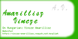 amarillisz vincze business card
